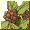 BACCANALIA